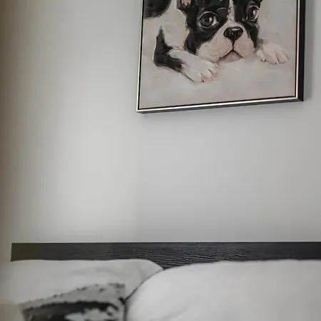 Babylu Apartament Zadar
